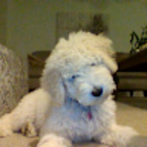 Meet your Posher, Catherine